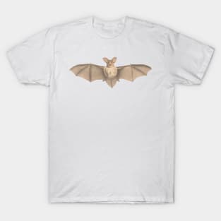 Lesser Long Eared Bat T-Shirt